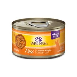 Wellness Complete Health Pate Canned Cat Food -Pet Sales Store 138071.1 1000