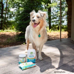 Only Natural Pet Flea & Tick Starter Kit For Dogs 27 Only Natural Pet Flea & Tick Starter Kit For Dogs -Pet Sales Store 23520851 44d2 45b6 9a08 2b0374f8be1e