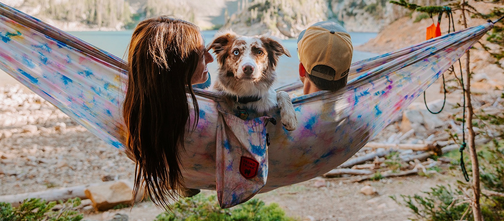 Pet Sales Store -Pet Sales Store 325956317 508430124731544 8417086353803541000 n