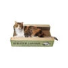 Scratch Lounge Double-Sided Cat Scratcher -Pet Sales Store 333000 1000