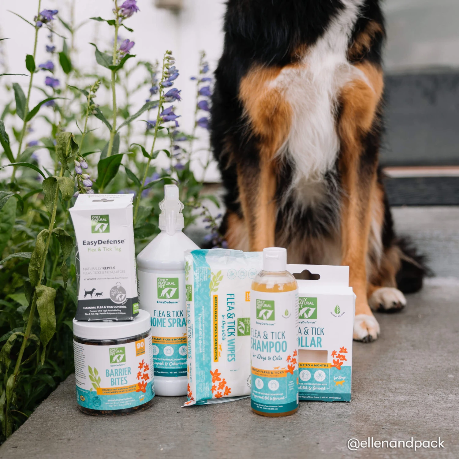 Only Natural Pet Flea & Tick Complete Protection Kit For Dogs 17 Only Natural Pet Flea & Tick Complete Protection Kit For Dogs - Image 17