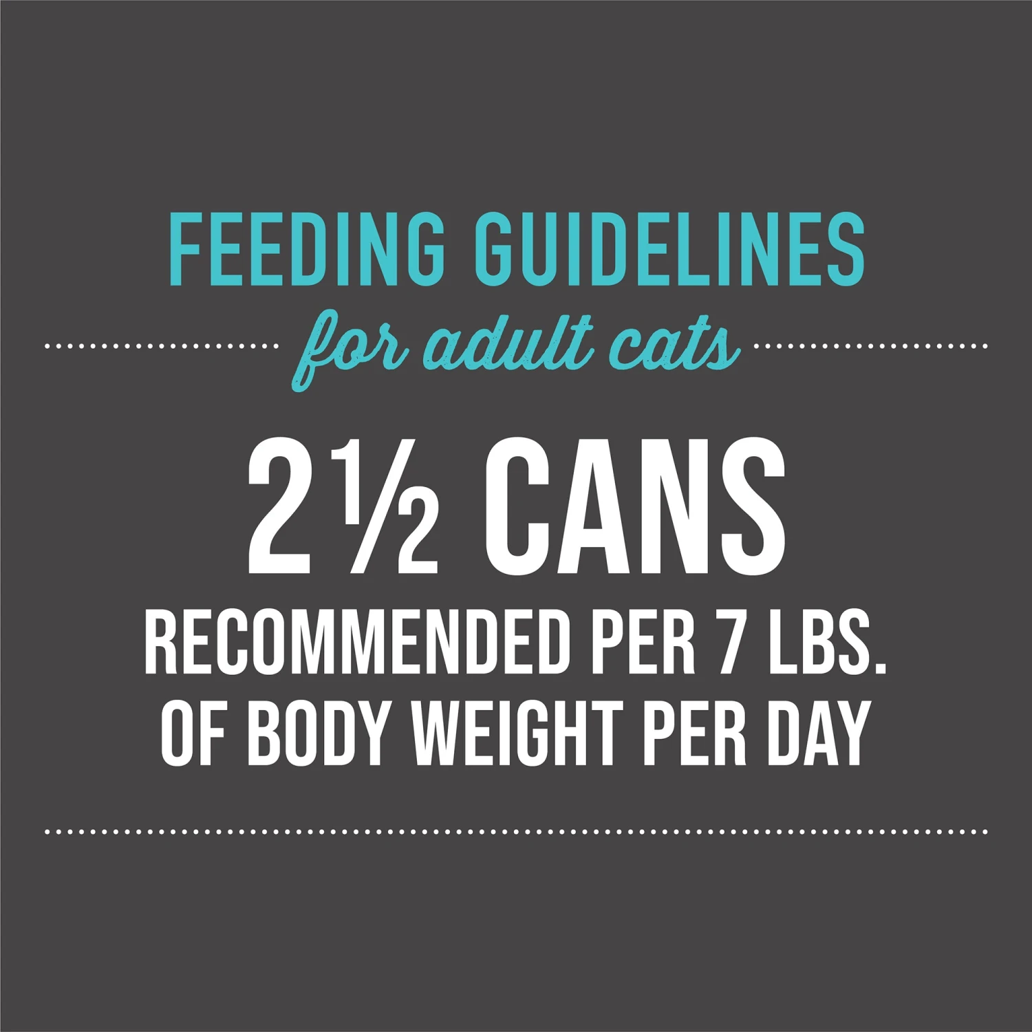 Tiki Cat Luau Pate 7 Tiki Cat Luau Pate - Image 7