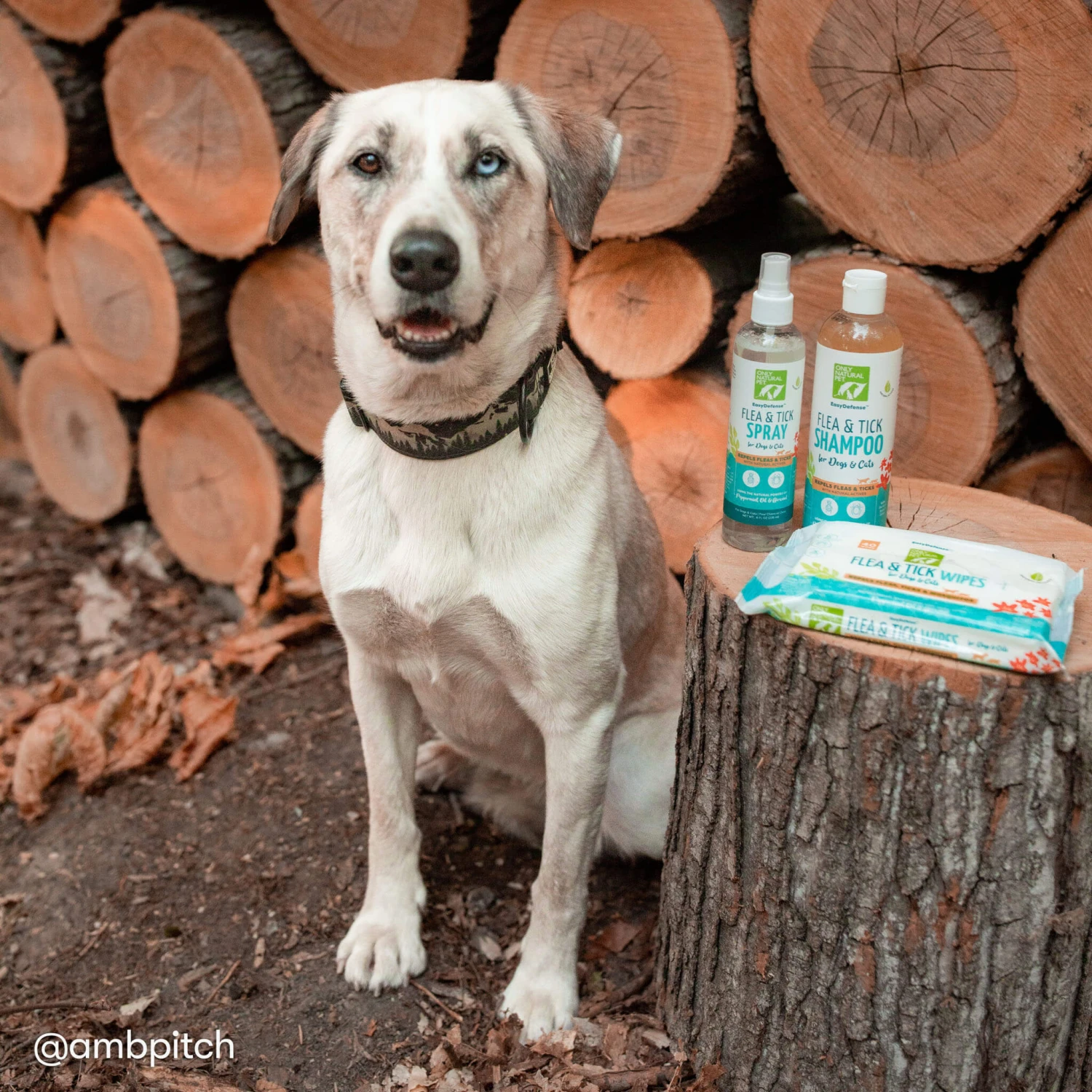 Only Natural Pet Flea & Tick Grooming Kit For Dogs & Cats 7 Only Natural Pet Flea & Tick Grooming Kit For Dogs & Cats - Image 7