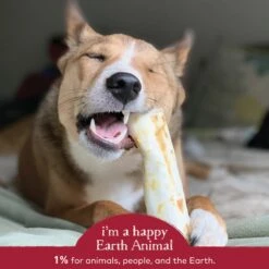 Earth Animal No-Hide Beef Single Chew For Dogs -Pet Sales Store 853965006095 ALT4