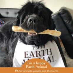 Earth Animal No-Hide Chicken Chew For Dogs -Pet Sales Store 853965006323 ALT4