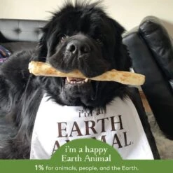 Earth Animal No-Hide Pork Single Chew For Dogs -Pet Sales Store 853965006583 ALT4