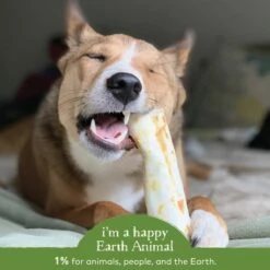 Earth Animal No-Hide Pork Single Chew For Dogs -Pet Sales Store 853965006606 ALT4