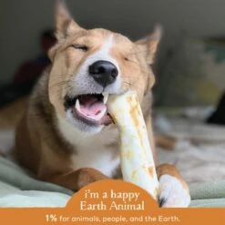 Earth Animal No-Hide Chicken Chew For Dogs -Pet Sales Store 857253003742 ALT4
