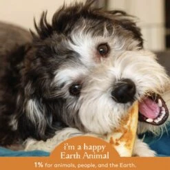 Earth Animal No-Hide Chicken Chew For Dogs -Pet Sales Store 857253003759 ALT4
