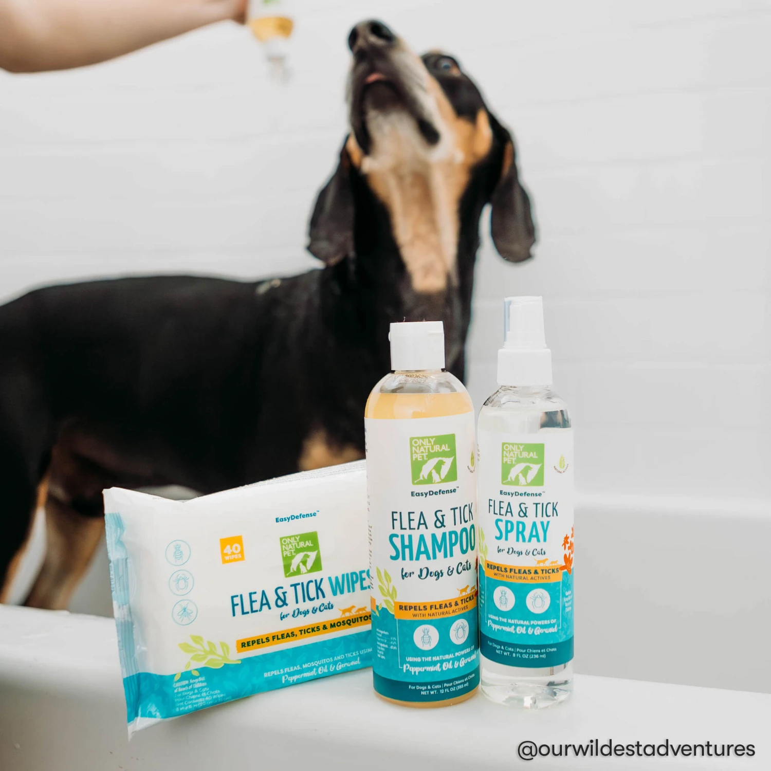 Only Natural Pet Flea & Tick Grooming Kit For Dogs & Cats 6 Only Natural Pet Flea & Tick Grooming Kit For Dogs & Cats - Image 6