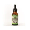 Animal Essentials Echinacea/Goldenseal Immune Support Liquid For Dogs & Cats -Pet Sales Store Animal Essentials Echinacea Goldenseal Bottle