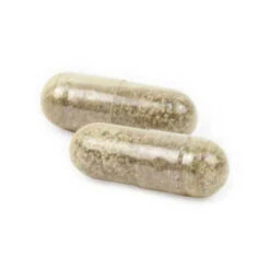 Ark Naturals Gentle Digest Probiotic Supplement For Dogs & Cats -Pet Sales Store ArkNaturalsGentleDigestCapsuleProduct