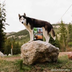 Only Natural Pet Raw Blends Chicken And Poultry Feast Raw Grain Free Dog Food -Pet Sales Store BF6A0051