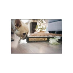 Bark Potty All Natural Pee Pad -Pet Sales Store BarkPotty Lifestyle