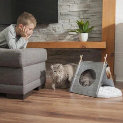 Beonebreed Cat Hammock Bed 16 Beonebreed Cat Hammock Bed -Pet Sales Store Cattipi aaf733a1 df20 4d8a ae28 a970219c5c22