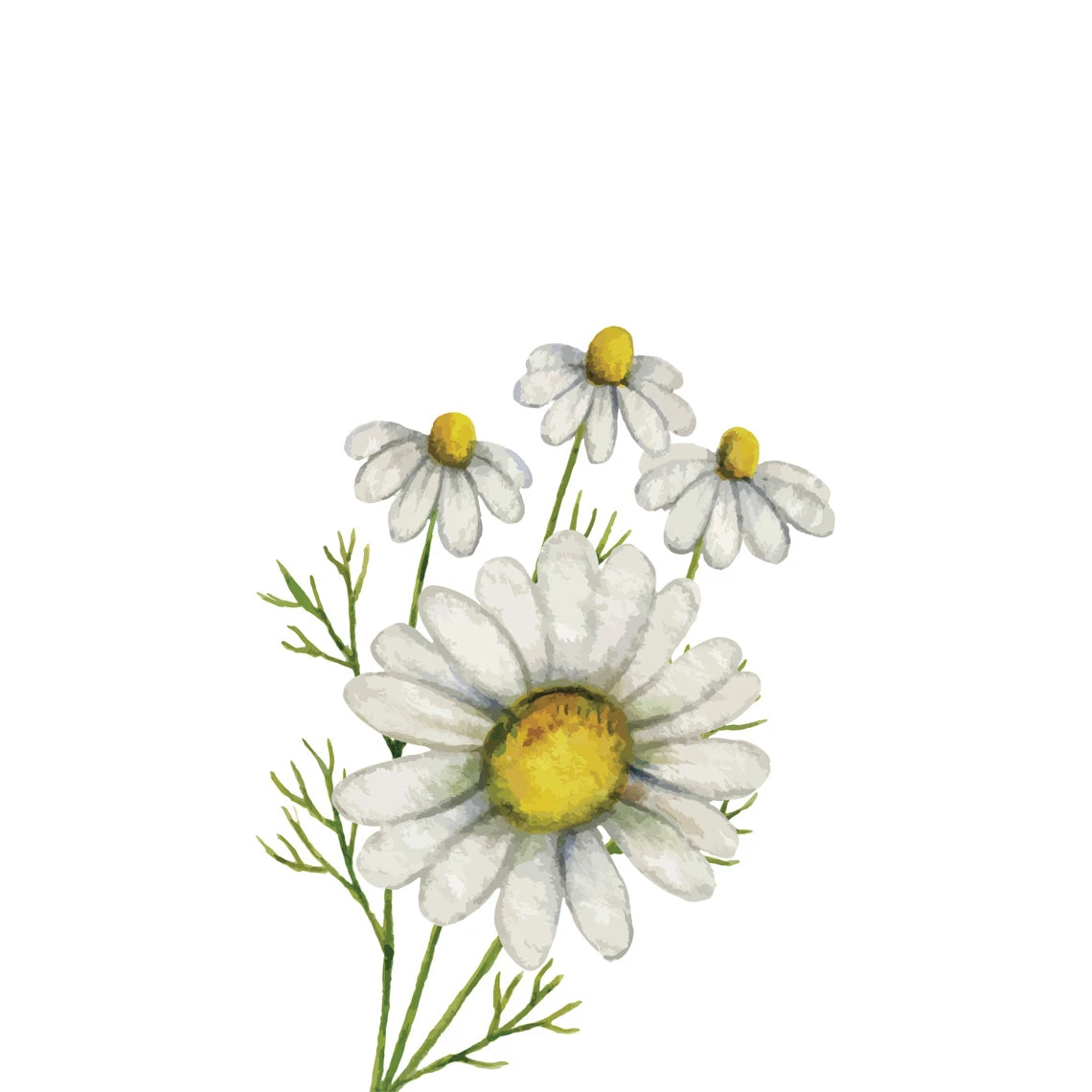 TrueBlue Fast & Fresh Dental Swipes 4 TrueBlue Fast & Fresh Dental Swipes - Image 4