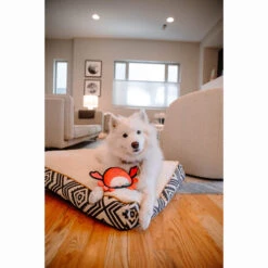 Only Natural Pet Sea Creatures Recycled Plush Dog Toys -Pet Sales Store ClaratheCrabSeaCreaturesPlushDogToyLifestyle