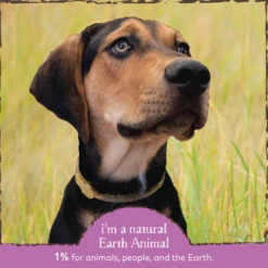 Earth Animal Nature's Protection Daily Herbal Internal Powder For Dogs & Cats -Pet Sales Store EarthAnimalDailyInternalPowder8ozInfographic2 ddb74134 2db3 466e ad6c 845575f37733