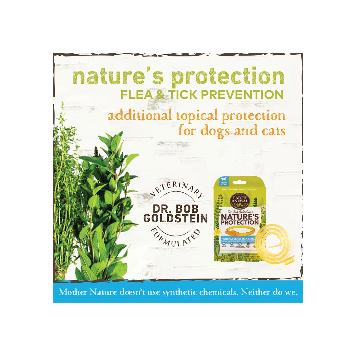 Earth Animal Nature's Protection Flea & Tick Collar For Dogs 8 Earth Animal Nature's Protection Flea & Tick Collar For Dogs - Image 8