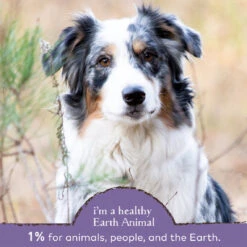 Earth Animal Healthy Digestion Nutritional Supplement Powder For Cats & Dogs -Pet Sales Store EarthAnimal Digest Alt3