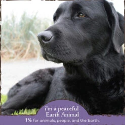 Earth Animal Organic Herbal Remedies No More Worms Tincture For Dogs -Pet Sales Store EarthAnimal Worms Alt3