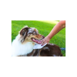 Earthbath Total Natural Pet Care Extra Thick Moist Towel Grooming Wipes For Dogs & Cats -Pet Sales Store Earthbath GroomingWipes Lifestyle