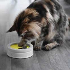 Beonebreed Cat Hammock Bed 19 Beonebreed Cat Hammock Bed -Pet Sales Store Intellikattlevel1 7c61bf9c 9287 4dee ab12 13e222b3bf47