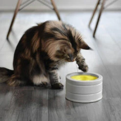 Beonebreed Cat Hammock Bed 20 Beonebreed Cat Hammock Bed -Pet Sales Store Intellikattlevel2 198a8a44 7677 40b2 9efa c401b1e18da9