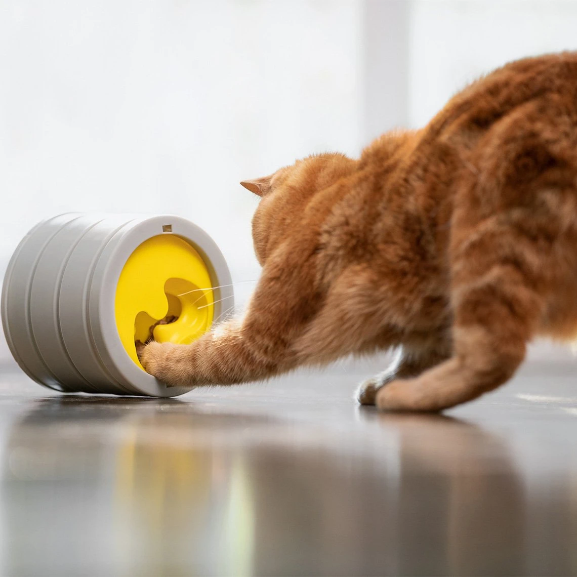 Beonebreed Cat Hammock Bed 8 Beonebreed Cat Hammock Bed - Image 8