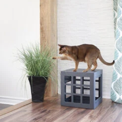 Beonebreed Cat Hammock Bed 26 Beonebreed Cat Hammock Bed -Pet Sales Store Katt3 lonely gray 6d872c9f 1949 417b b73b 7f188759b1e7