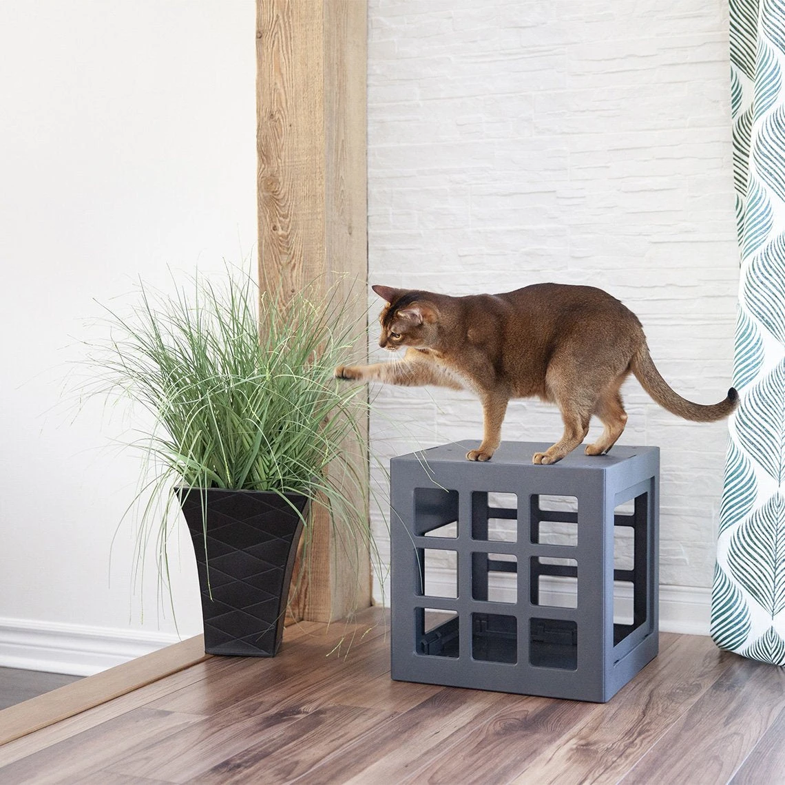 Beonebreed Cat Hammock Bed 13 Beonebreed Cat Hammock Bed - Image 13