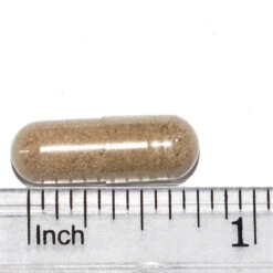 Only Natural Pet Kidney Support -Pet Sales Store Kidney Support Capusle Measured