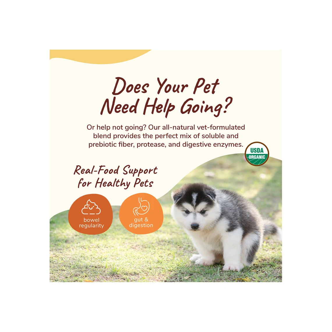 Kin + Kind Organic Healthy Poops Supplement For Cats & Dogs 4 Kin + Kind Organic Healthy Poops Supplement For Cats & Dogs - Image 4