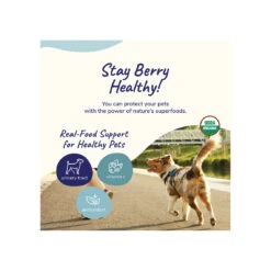 Kin + Kind Organic Healthy Immunity Supplement For Cats & Dogs -Pet Sales Store KinKind Immunity Alt1