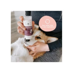 Kin + Kind Organic Nose & Paw Stick For Dogs -Pet Sales Store KinKind NosePawStick Alt3