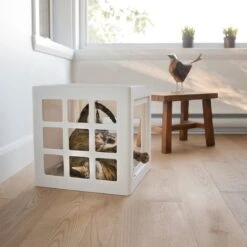 Beonebreed Cat Hammock Bed 25 Beonebreed Cat Hammock Bed -Pet Sales Store Lonelykube 066997ac ae71 4ce3 ac84 bf9bdde15bb6