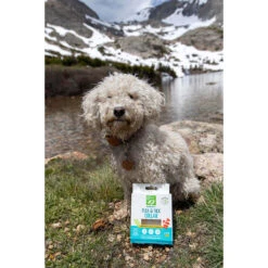 Only Natural Pet EasyDefense Flea & Tick Dog Collar Multi Pack -Pet Sales Store ONPEasyDefenseNon ToxicFlea TickCollarforDogsLifestyle2