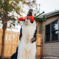 Only Natural Pet Eco-Friendly Regenerated Cotton Carrot Dog Toy -Pet Sales Store ONPEcoFriendlyRegeneratedCottonCarrotDogToyLifestyleImage2