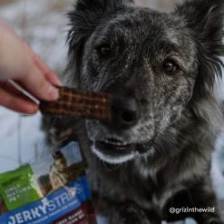 Only Natural Pet Jerky Strips Dog Treats -Pet Sales Store ONPJerkyStripsLifestyle
