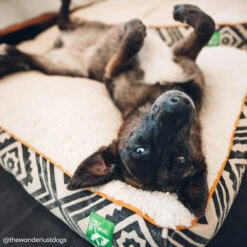 Only Natural Pet Organic Sherpa Pet Beds -Pet Sales Store ONPOrganicSherpaPetBedLifestyleImage2