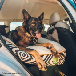 Only Natural Pet Organic Sherpa Pet Beds -Pet Sales Store ONPOrganicSherpaPetBedLifestyleImage4