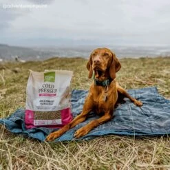 Only Natural Pet Pork & Menhaden Cold Pressed Dog Food -Pet Sales Store ONPPork MenhadenColdPressedDogFoodLifestyle2