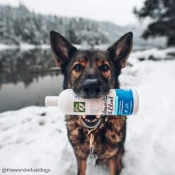 Only Natural Pet Wild Alaskan Salmon Oil Blend For Dogs & Cats -Pet Sales Store ONPWildAlaskanSalmonOilBlendLifestyle2