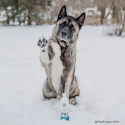 Only Natural Pet Wild Alaskan Salmon Oil Blend For Dogs & Cats -Pet Sales Store ONPWildAlaskanSalmonOilBlendforDogs Cats