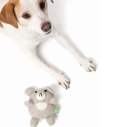 Only Natural Pet Hemp Bear Dog Toy -Pet Sales Store OnlyNaturalPetHempBearDogToywDog