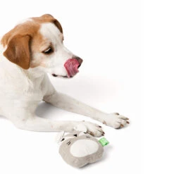 Only Natural Pet Hemp Fox Dog Toy -Pet Sales Store OnlyNaturalPetHempFoxDogToywDog