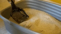 Only Natural Pet Non GMO Fast Clumping Grass Seed Cat Litter -Pet Sales Store OnlyNaturalPetNon GMONaturalGrassSeedCatLitter low