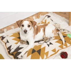 Only Natural Pet Eco-Friendly Regenerated Cotton Ball Dog Toy -Pet Sales Store OnlyNaturalPetRegeneratedCottonBedLifestyleShot