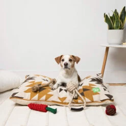 Only Natural Pet Eco-Friendly Regenerated Cotton Carrot Dog Toy -Pet Sales Store OnlyNaturalPetRegeneratedCottonBedLifestyleShotv2 777fb950 981c 4891 8f52 74f0b694cbb4