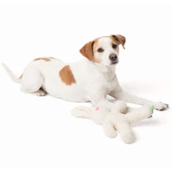 Only Natural Pet Organic Plush Rabbit Dog Toy -Pet Sales Store OnlyNaturalPetRegeneratedCottonPlushBunnyDogToywDog